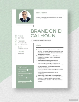 Government Executive Resume