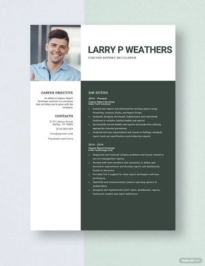 Cognos Report Developer Resume