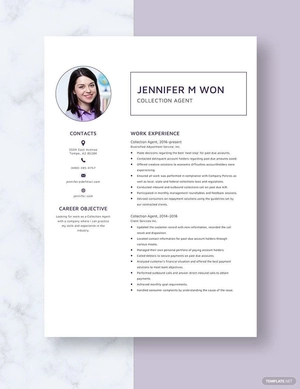 Collection Agent Resume