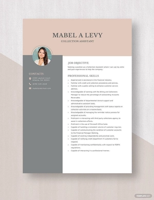 Collection Assistant Resume