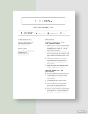 Construction Executive Resume