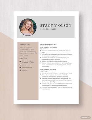 Contract Auditor Resume