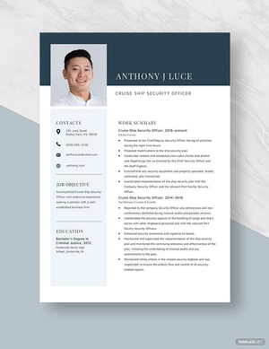 Cruise Ship Security Officer Resume