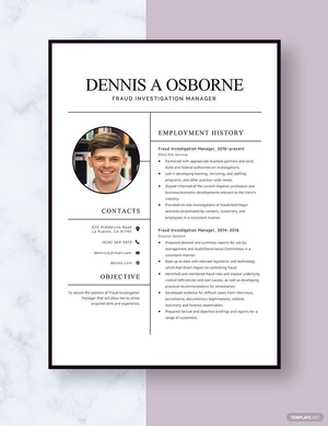 Fraud Investigation Manager Resume