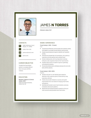 Fraud Analyst Resume
