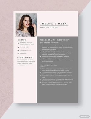 Fraud Investigator Resume