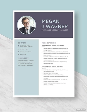 Freelance Account Manager Resume