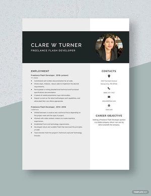 Freelance Flash Developer Resume