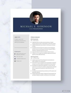 CICS Programmer Resume