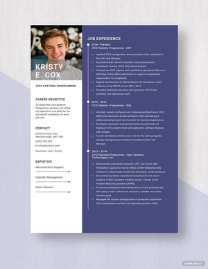 CICS Systems Programmer Resume