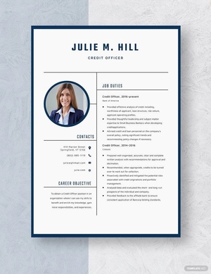 Credit Officer Resume