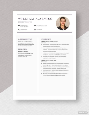CRM Developer Resume
