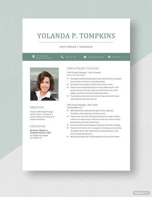 CRM Project Manager Resume