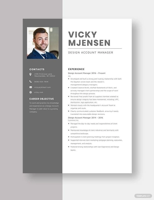 Design Account Manager Resume