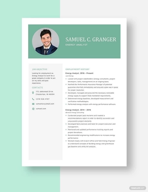 Energy Analyst Resume