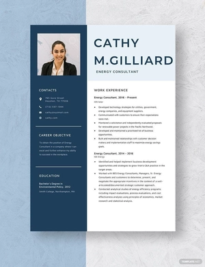 Energy Consultant Resume