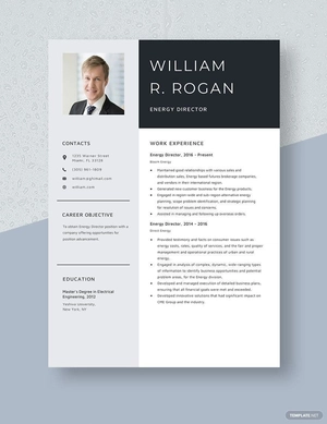 Energy Director Resume