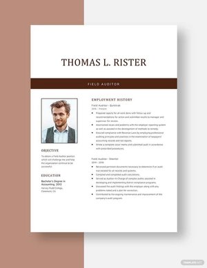Field Auditor Resume