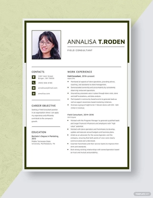 Field Consultant Resume