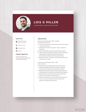 Consumer Loan Processor Resume