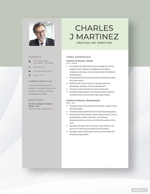 Creative Art Director Resume