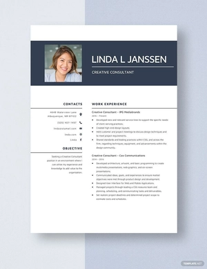 Creative Consultant Resume