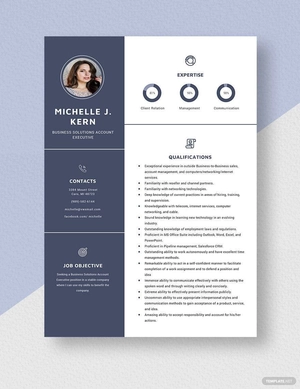 Business Solutions Account Executive Resume