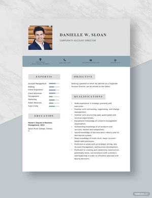 Corporate Account Director Resume