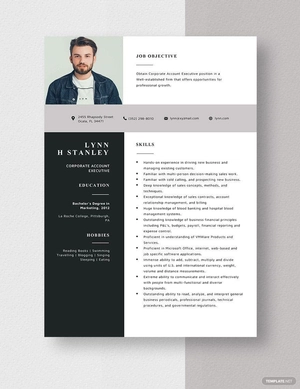Corporate Account Executive Resume