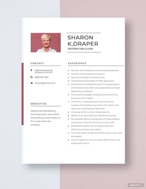 Distributing Clerk Resume