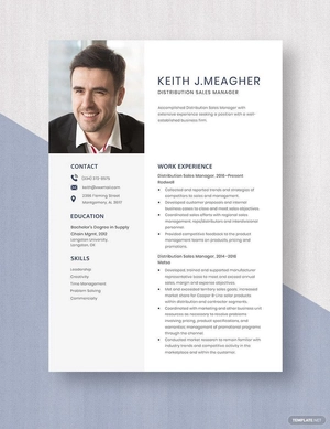 Distribution Sales Manager Resume