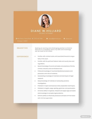 District Attorney Resume