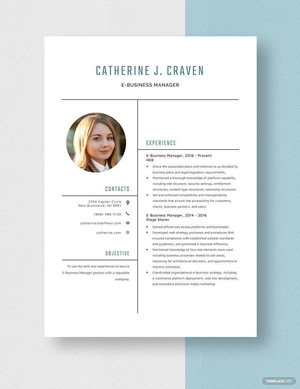 E Business Manager Resume