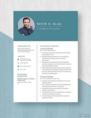 E-Commerce Developer Resume