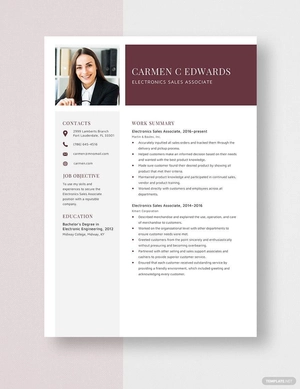 Electronics Sales Associate Resume