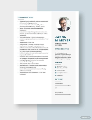 Email Marketing Manager Resume