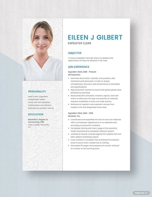 Expediter Clerk Resume