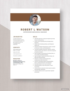 Experienced Mechanical Engineer Resume