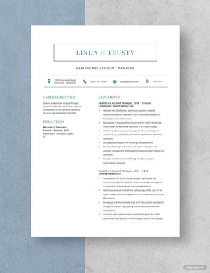 Healthcare Account Manager Resume
