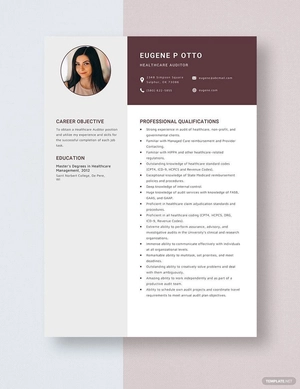 Healthcare Auditor Resume