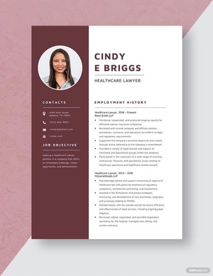 Healthcare Lawyer Resume