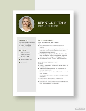 Group Account Director Resume