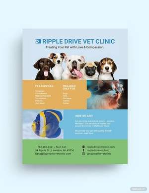 Vet Clinic Flyer Template
