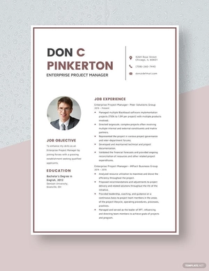Enterprise Project Manager Resume
