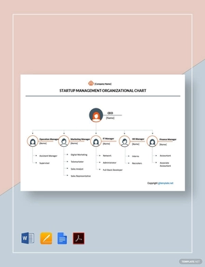 Startup Management Organizational Chart Template