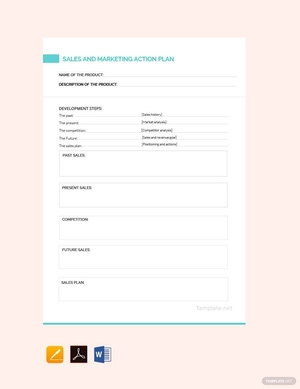 Sales and Marketing Action Plan Template
