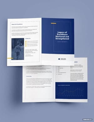NGO Annual Report Bi-Fold Brochure Template