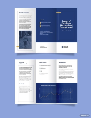 NGO Annual Report Tri-Fold Brochure Template