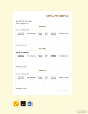 Basic Action Plan Template