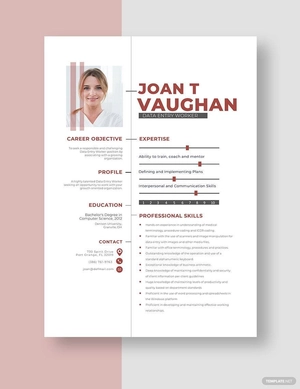 Data Entry Worker Resume